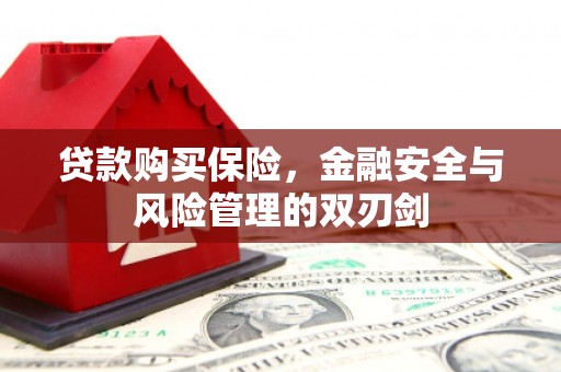 高树贷款购买保险，金融安全与风险管理的双刃剑