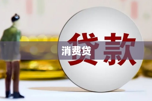 高树消费贷