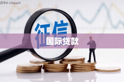 高树国际贷款