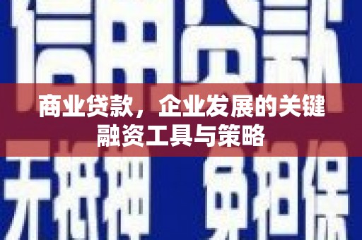 高树商业贷款，企业发展的关键融资工具与策略
