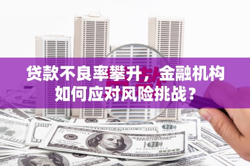 高树贷款不良率攀升，金融机构如何应对风险挑战？