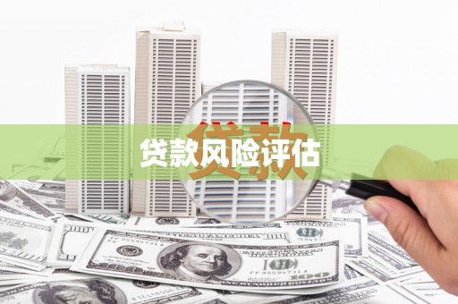 高树贷款风险评估