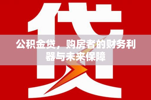 高树公积金贷，购房者的财务利器与未来保障