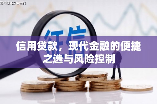 高树信用贷款，现代金融的便捷之选与风险控制