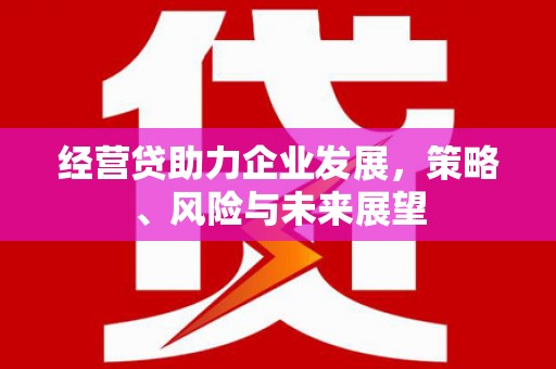 高树经营贷助力企业发展，策略、风险与未来展望