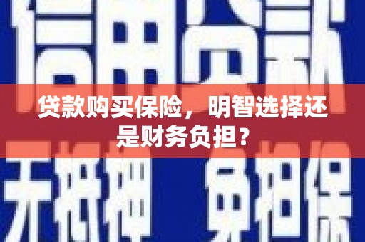高树贷款购买保险，明智选择还是财务负担？