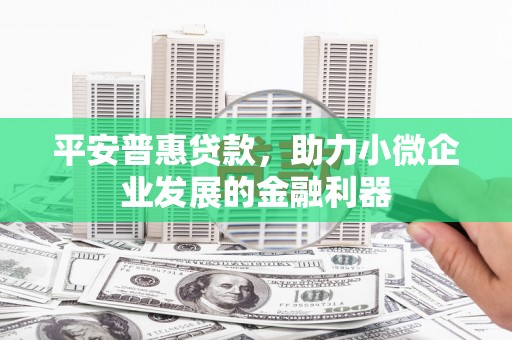 高树平安普惠贷款，助力小微企业发展的金融利器