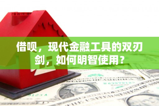 高树借呗，现代金融工具的双刃剑，如何明智使用？
