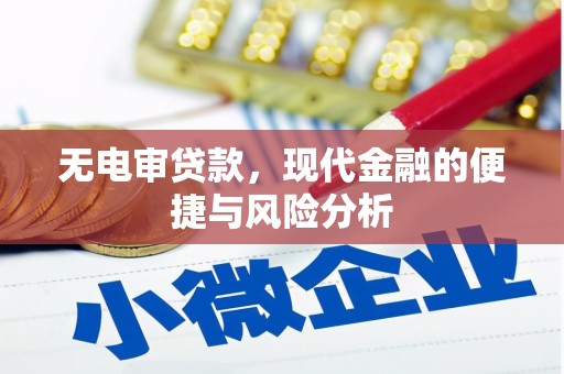 高树无电审贷款，现代金融的便捷与风险分析