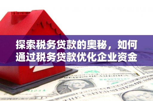 高树探索税务贷款的奥秘，如何通过税务贷款优化企业资金流