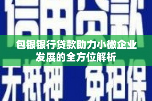 高树包银银行贷款助力小微企业发展的全方位解析
