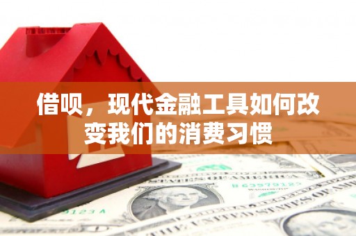 高树借呗，现代金融工具如何改变我们的消费习惯