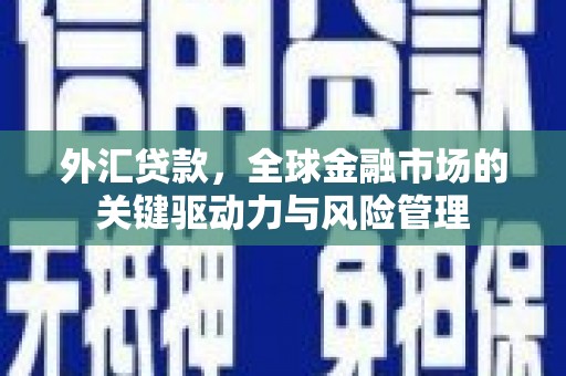 高树外汇贷款，全球金融市场的关键驱动力与风险管理