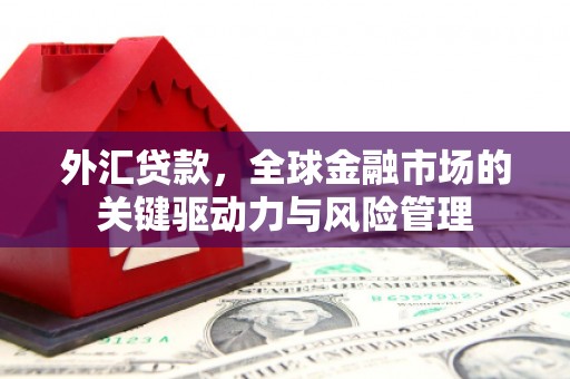 高树外汇贷款，全球金融市场的关键驱动力与风险管理
