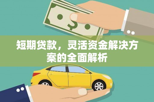高树短期贷款，灵活资金解决方案的全面解析