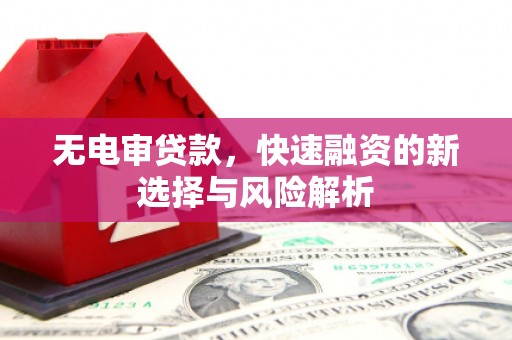 高树无电审贷款，快速融资的新选择与风险解析