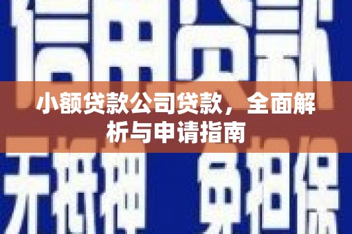 高树小额贷款公司贷款，全面解析与申请指南