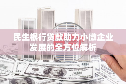 高树民生银行贷款助力小微企业发展的全方位解析