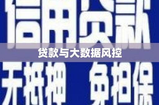 高树贷款与大数据风控
