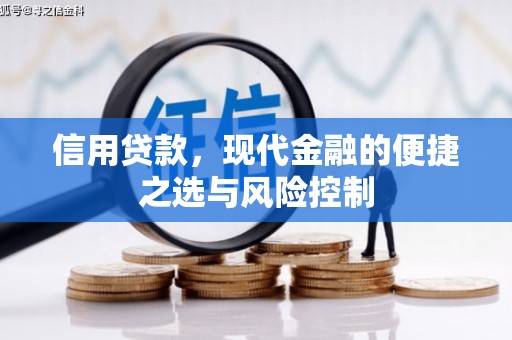 高树信用贷款，现代金融的便捷之选与风险控制