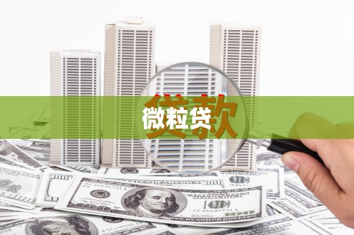 高树微粒贷