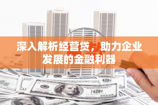 高树深入解析经营贷，助力企业发展的金融利器