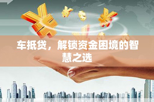 高树车抵贷，解锁资金困境的智慧之选
