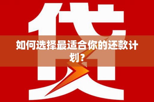 高树如何选择最适合你的还款计划？