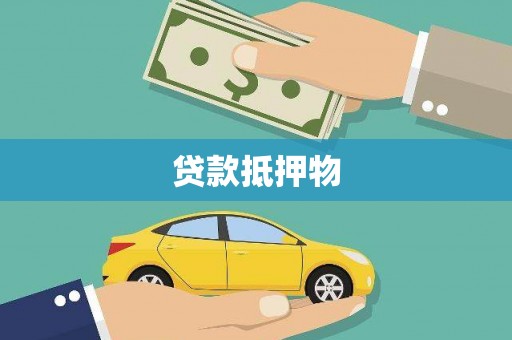 高树贷款抵押物