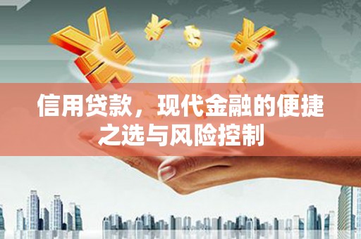 高树信用贷款，现代金融的便捷之选与风险控制