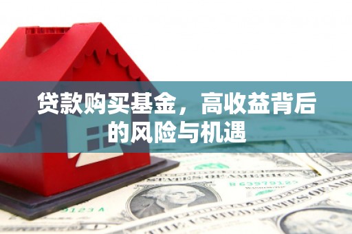 高树贷款购买基金，高收益背后的风险与机遇