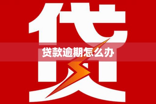 高树贷款逾期怎么办