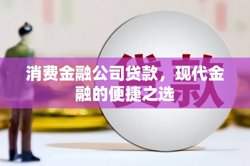 高树消费金融公司贷款，现代金融的便捷之选
