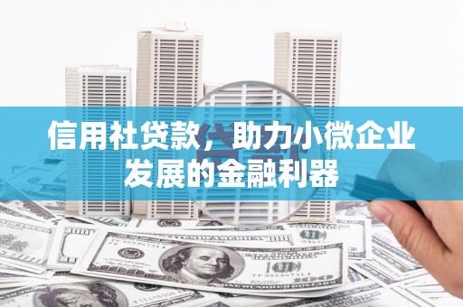 高树信用社贷款，助力小微企业发展的金融利器