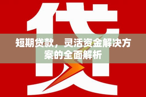 高树短期贷款，灵活资金解决方案的全面解析