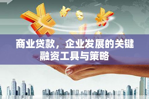 高树商业贷款，企业发展的关键融资工具与策略
