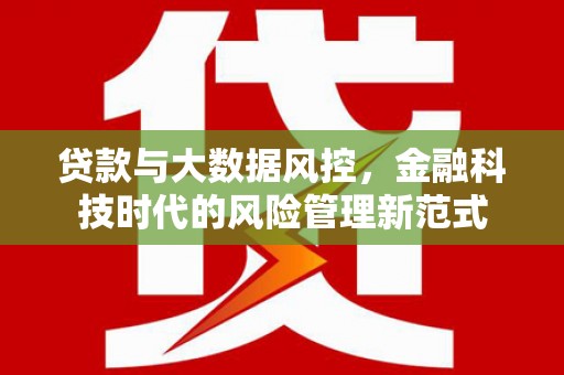 高树贷款与大数据风控，金融科技时代的风险管理新范式
