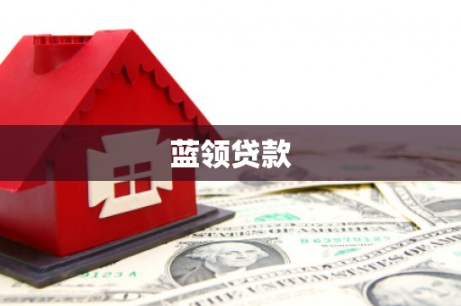 高树蓝领贷款