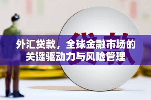 高树外汇贷款，全球金融市场的关键驱动力与风险管理