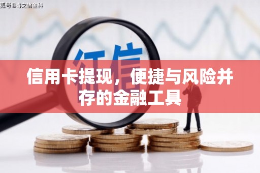 高树信用卡提现，便捷与风险并存的金融工具