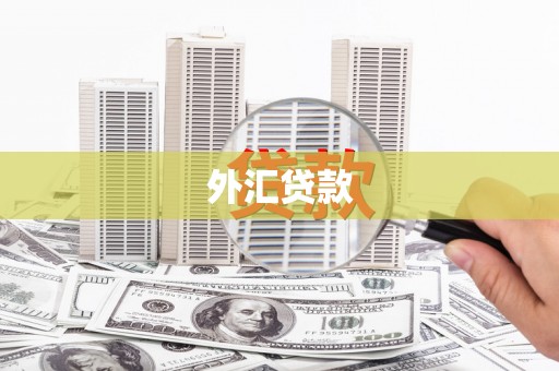 高树外汇贷款