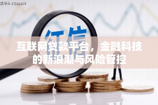 高树互联网贷款平台，金融科技的新浪潮与风险管控