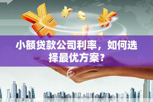 高树小额贷款公司利率，如何选择最优方案？