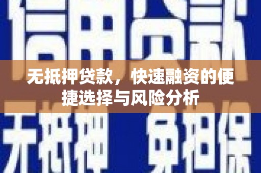 高树无抵押贷款，快速融资的便捷选择与风险分析
