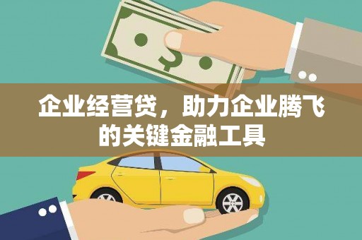 高树企业经营贷，助力企业腾飞的关键金融工具
