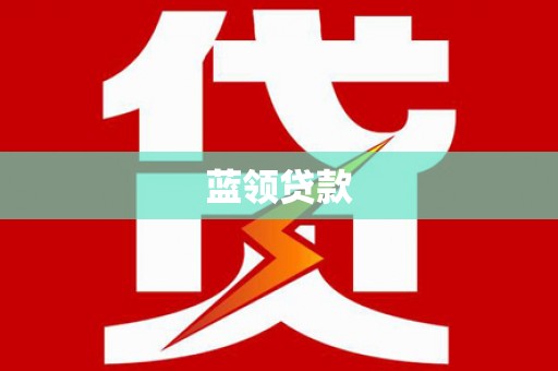 高树蓝领贷款