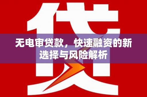 高树无电审贷款，快速融资的新选择与风险解析