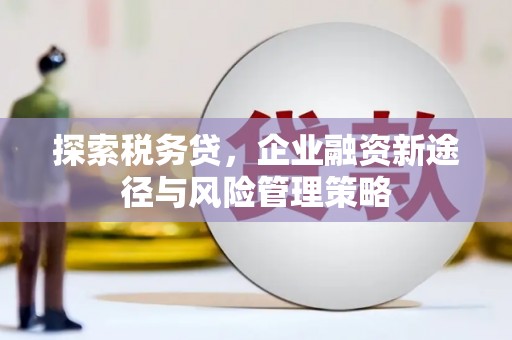 高树探索税务贷，企业融资新途径与风险管理策略