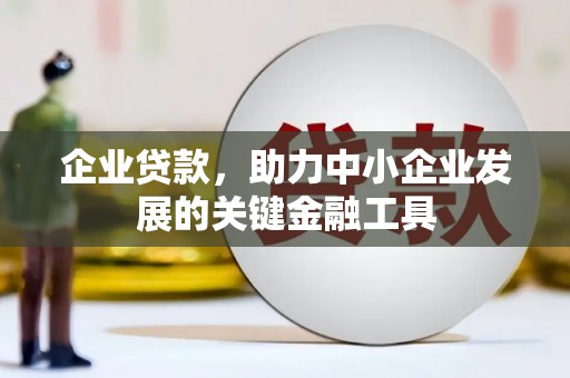 高树企业贷款，助力中小企业发展的关键金融工具
