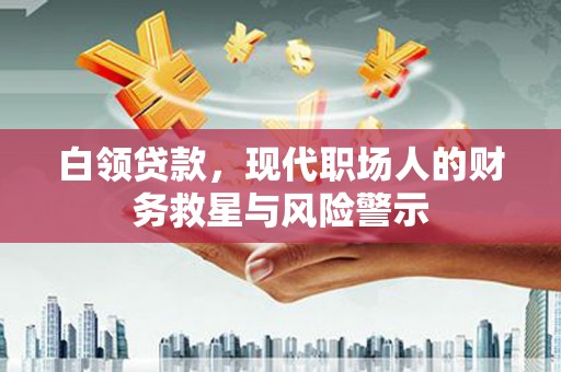 高树白领贷款，现代职场人的财务救星与风险警示